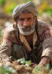 StockCake-Farmer at Work_1722159245